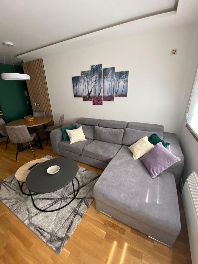 Apartman Pinora, Bazen&Spa Zlatibor Extérieur photo